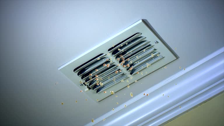 Best HVAC Maintenance and Cleaning  in South Miami Heights, FL
