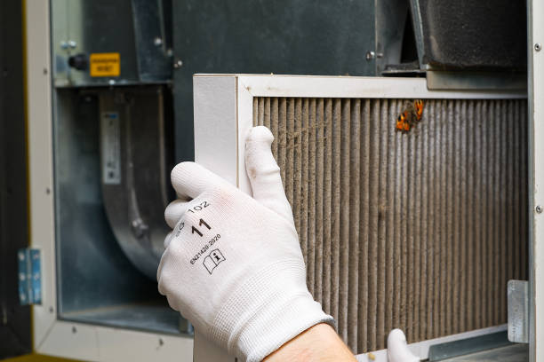 Best Residential Air Duct Cleaning  in South Miami Heights, FL